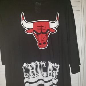Chicago bulls